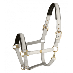 LICOL WALDHAUSEN MADRID