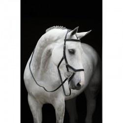 RAMBO MICKLEM COMPETITION