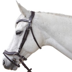 BRIDON CANTER BALOUBET