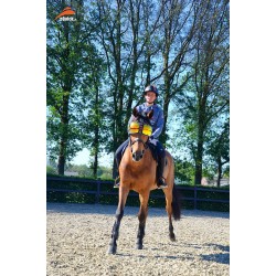 Baume cheval réparateur soin de la peau Nutragile - Equestra