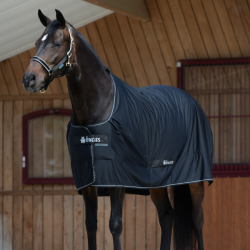 CHEMISE SHAMROCK BUCAS