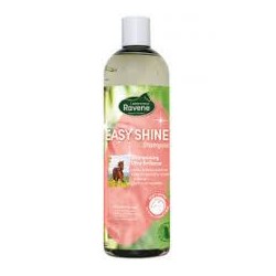 EASY SHINE SHAMPOO